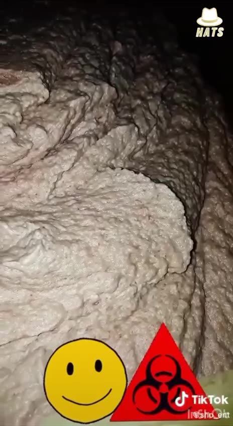 YOU WILL EAT THE BUGS!! YOU HAVE ATE WORSE.