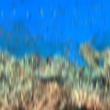 Sunny side of life in Maldives