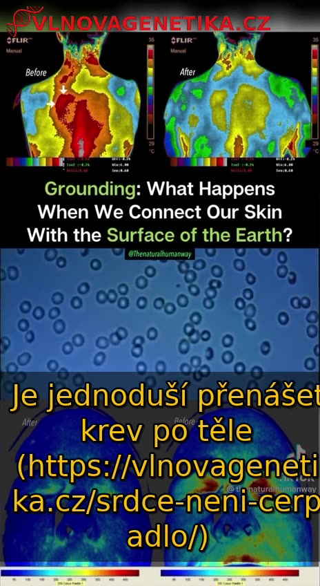 Co se stane když se uzemníte?