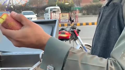 Crispy Potato Spiral Cravings : A Street Food Sensation