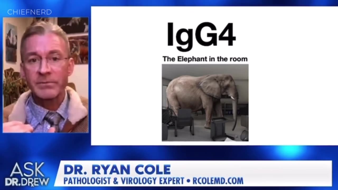 Pathologist Dr. Ryan Cole on the Link Between IgG4 & Negative Vaccine Efficacy