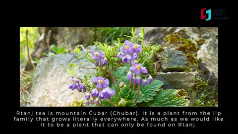 Rtanj-Mystic mountain