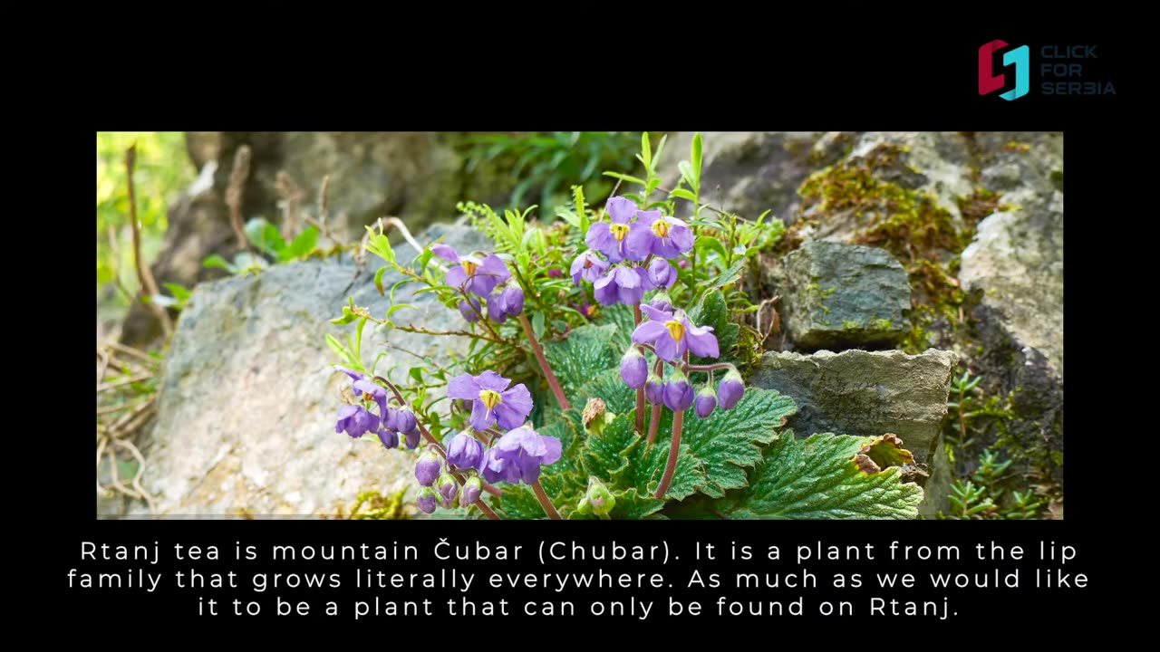 Rtanj-Mystic mountain