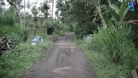 CIDRO -- MUSOH WONG BUDEK Eps 116 -- Cerita Jawa