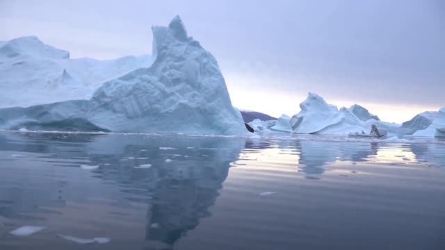 Best views of Antarctica