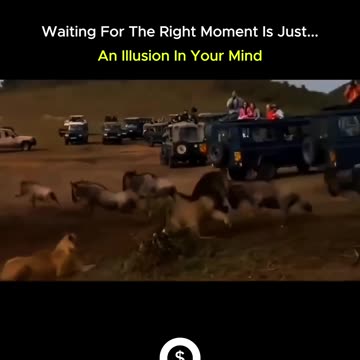 Waiting for everything to be perfect before you act?