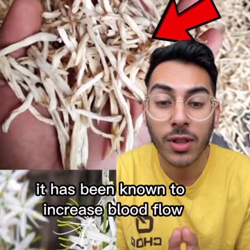 @foundconsciousness - The Root of Gold ⚜️- Male Vitality - @GetChoq