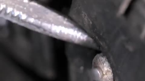 Professional tire plays with creativity!