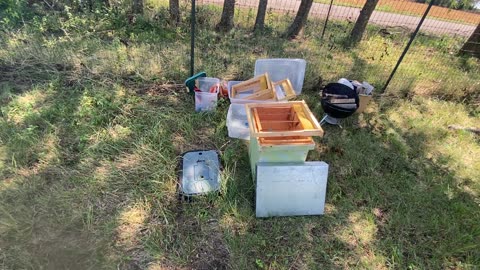 Perfect bee house, it’s a bee bed and breakfast.
