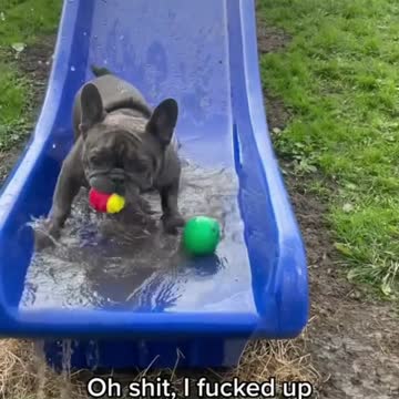 Epic Fetch Fail - Try Not To Laugh!