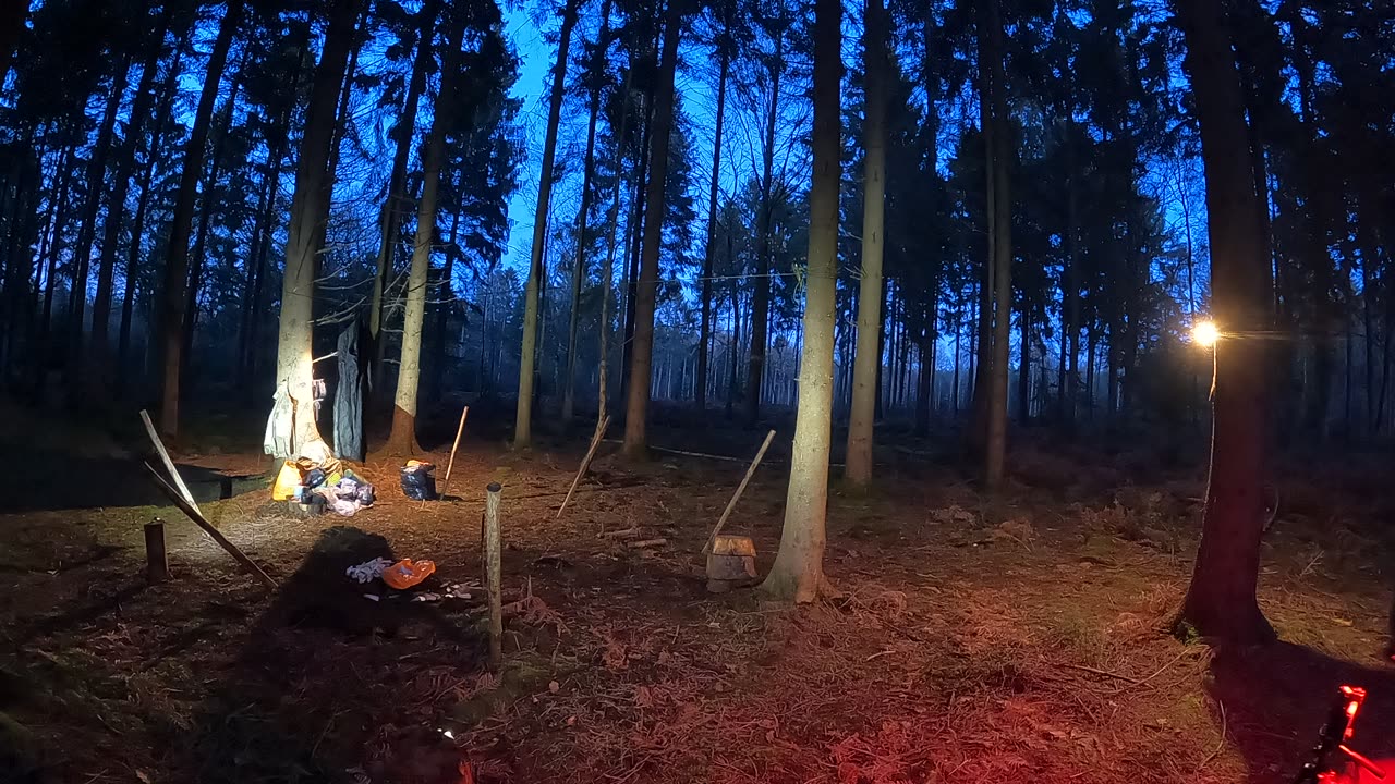 Tiny nightlapse in the woods. 22nd Jan 2023