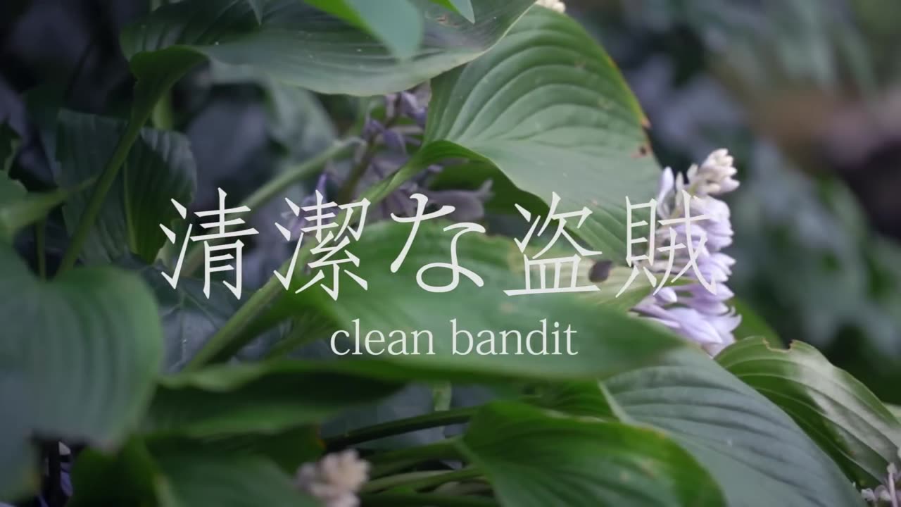 Clean Bandit - Rather Be ft. Jess Glynne [Official Video]