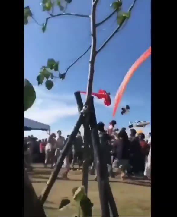 My dog is in the air repeat my dog is in the air