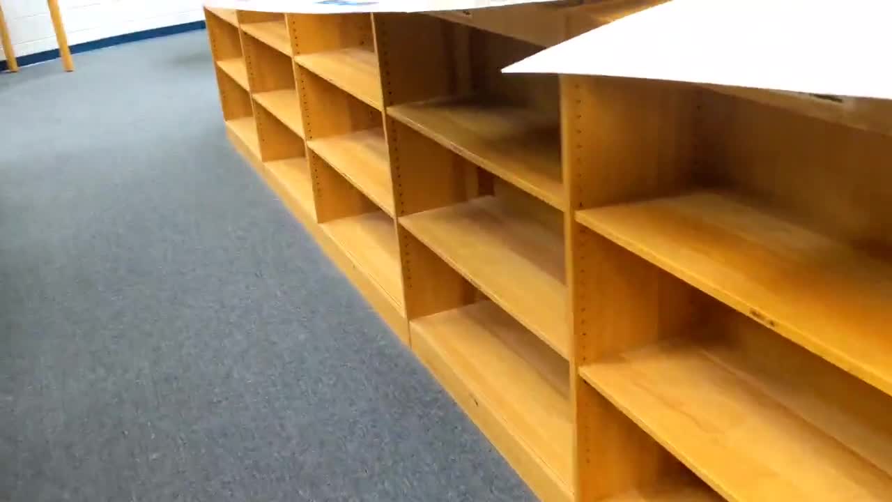 Florida district removes books from children's school library for 'formal review'