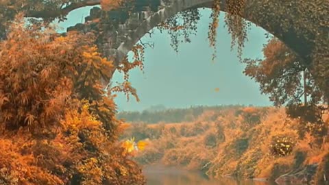 🔴 Relaxing Music 24/7, Sleep Music, Stress Relief Music, Spa, Meditation, Yoga, Zen, Sleeping Music