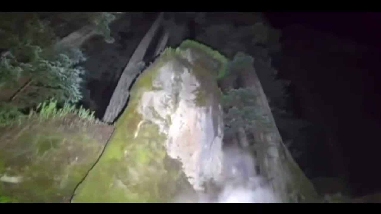 Bohemian Grove