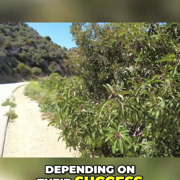 The Rise and Fall of Europe's Far-Right Parties: Meeting the Needs of the People