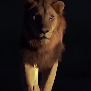 ВСЕ ИДЕТ ПО ПЛАНУ #shorts #tompitai, #томпитай