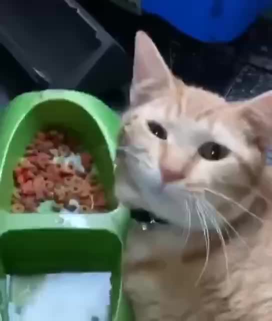 When you wake up in the morning after a party