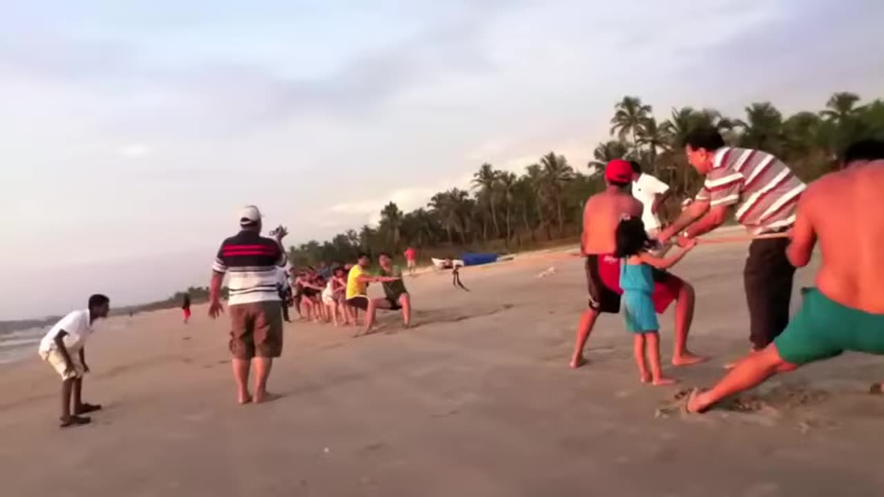 Tug of WAR on the Beach