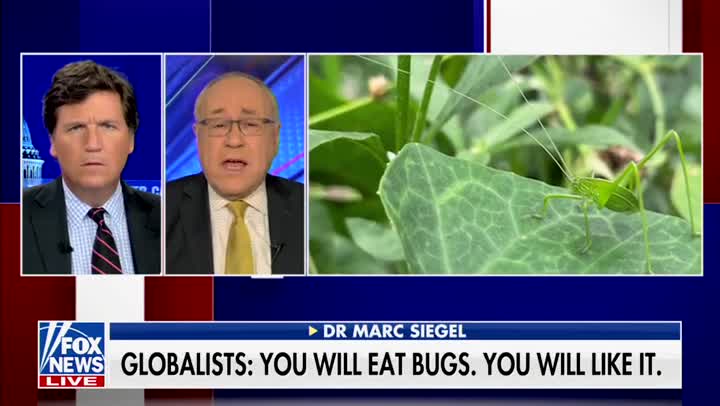 Federal Gov't Will 'Probably' Force Americans To Eat Insects, Tucker Carlson Says