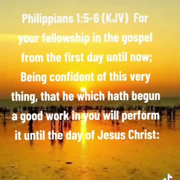 Paul the Apostle to the Philippians 🙌