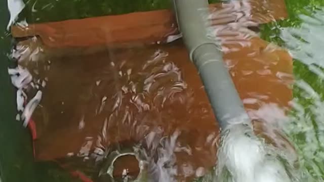 air bubbles from the fish pond pump machine