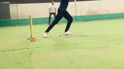 Let's play cricket