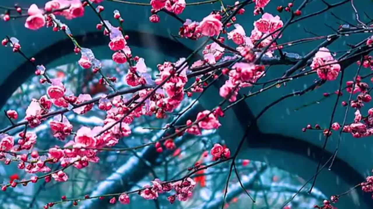 🔴 Relaxing Music 24/7, Sleep Music, Stress Relief Music, Spa, Meditation, Yoga, Zen, Sleeping Music