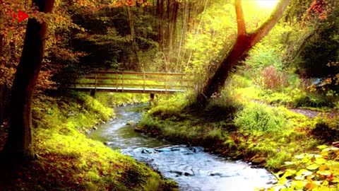 Relaxing Music | Sleeping, Meditation, Stress Relief | [6942] ⭐️