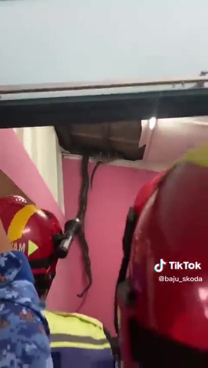 I would poop my pants