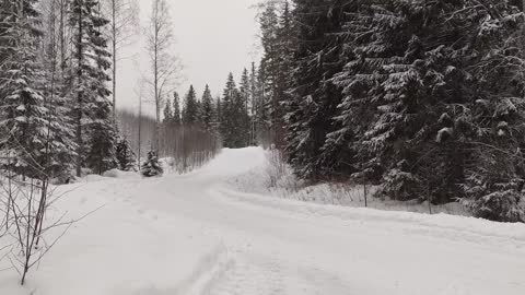 Compilation of Toyota's Rally Sweden 2022 tests