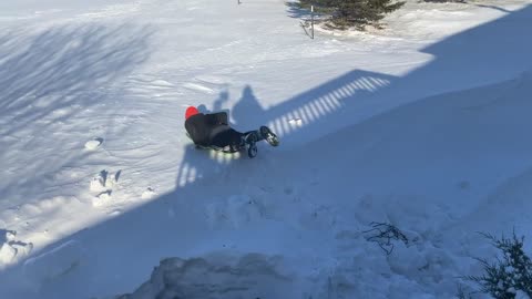 Sledding down the hill