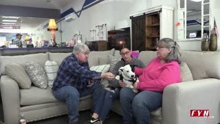 PET OF THE WEEK - Meet Frost - www.HumaneSocietyofBlueRidge.org