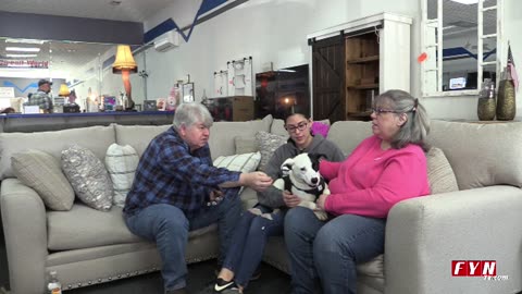 PET OF THE WEEK - Meet Frost - www.HumaneSocietyofBlueRidge.org