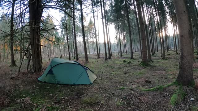 Snugpak scorpion 3 pitched in a woodland 22nd Jan 2023