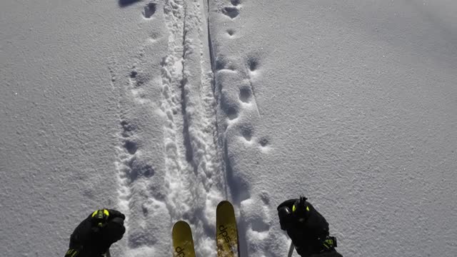 Jan 30th Mary's boundery bad camera angle need to work on that but....