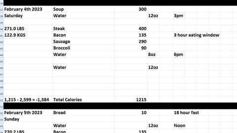 Daily Calorie Count: Feb 4th & 5th