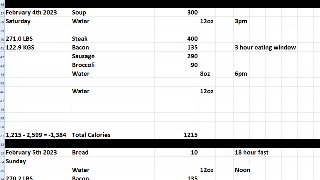 Daily Calorie Count: Feb 4th & 5th