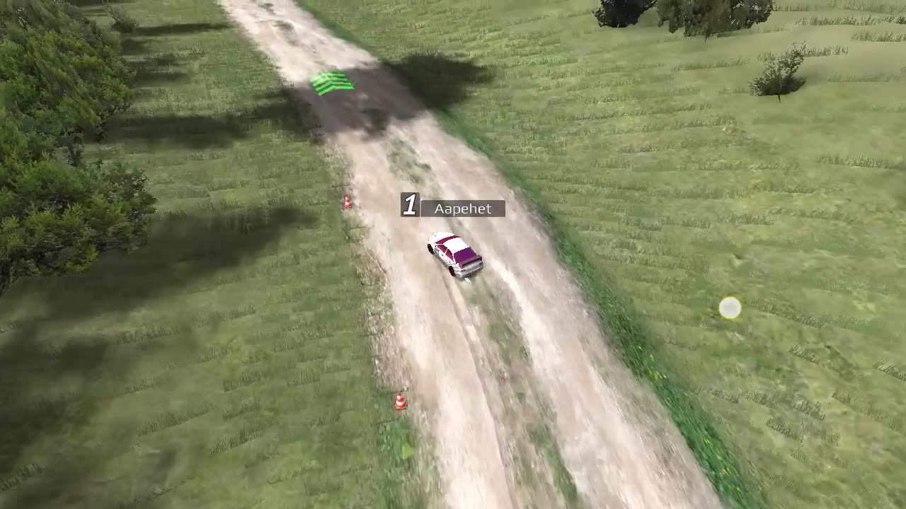 driving madness in rally furry