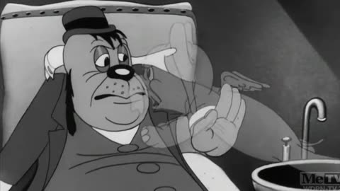 Calling Dr. Porky