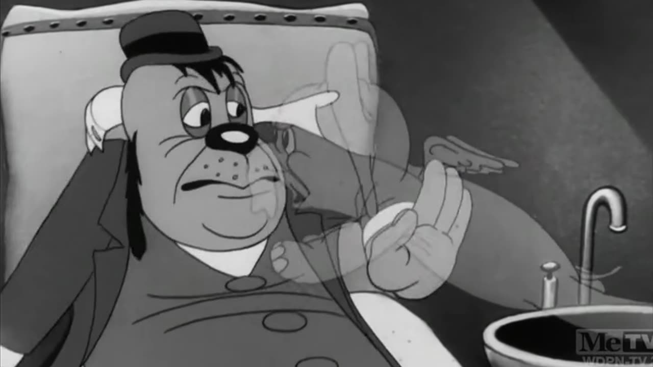 Calling Dr. Porky