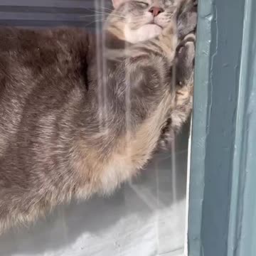 After a very cold snowy winter this is understandable