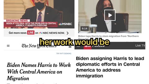 Was Kamala Harris actually ‘border czar’? | Vertical Investigations