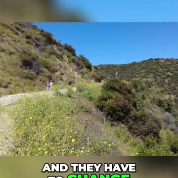 The Rise of the Buffered Identity: Challenges to European Traditions