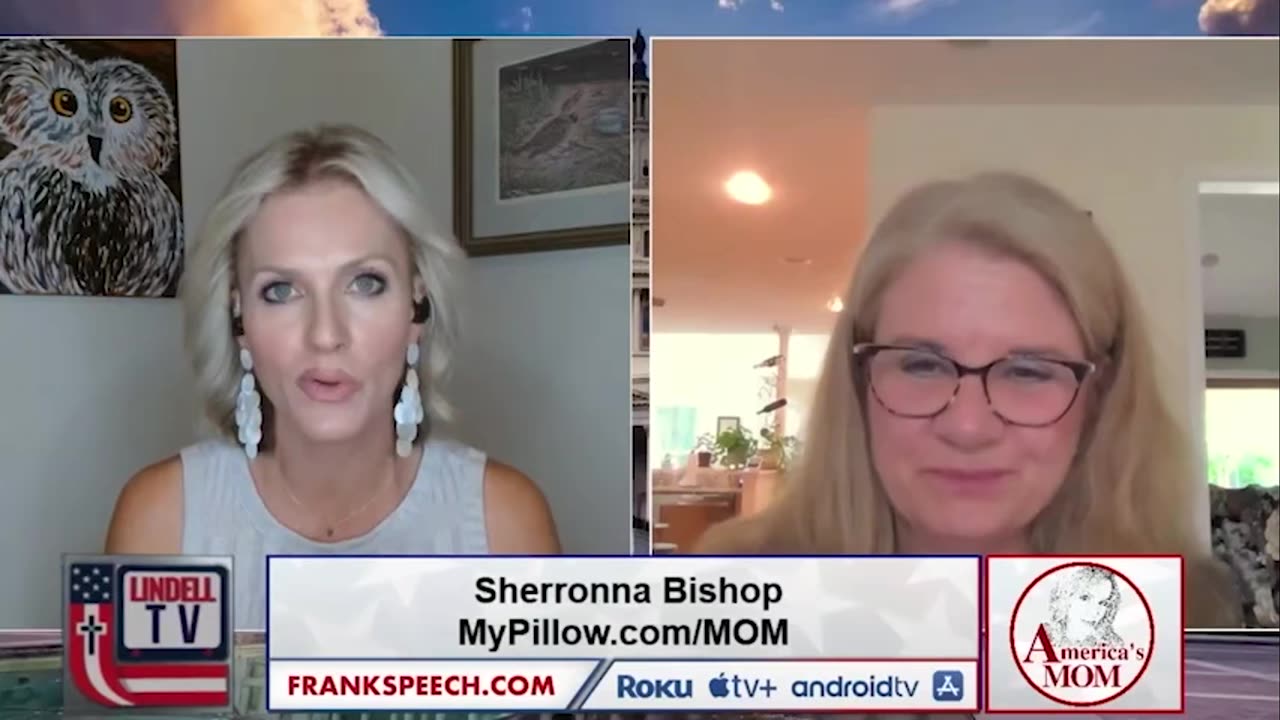 Project Civica Co-founder, Kim Hermance on Cause of America with Sherronna Bishop