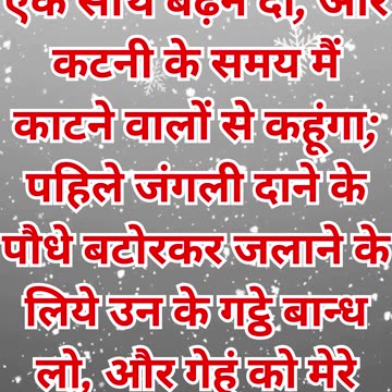 "अच्छे और बुरे अनाज का पृथक्करण" मत्ती 13:30.#shortvideo #short #youtube #ytshorts #youtubeshorts