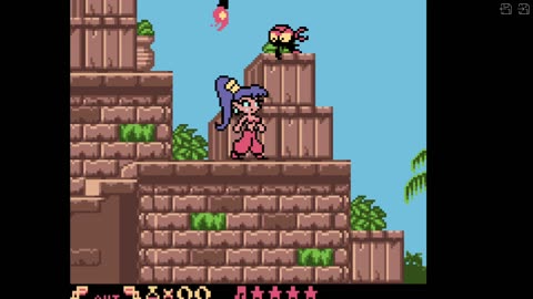 Cult Game Reviews-Shantae