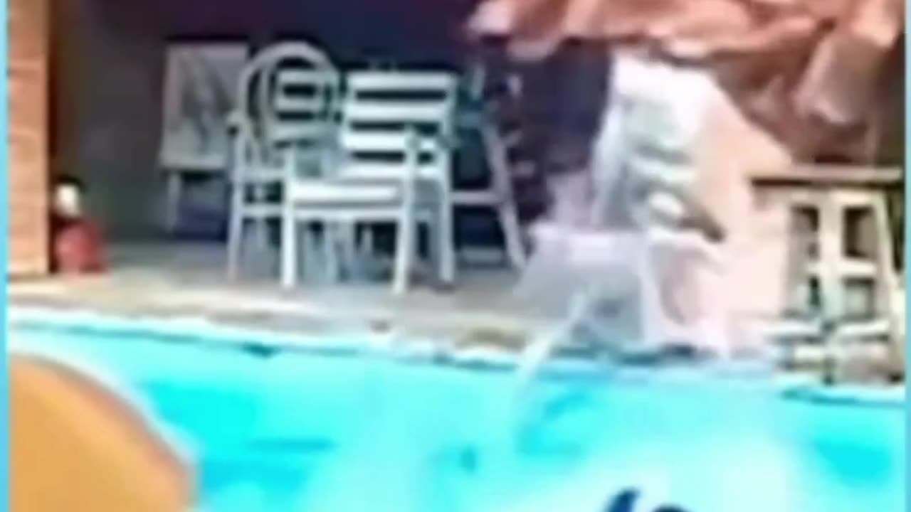 try not to laugh - best #funny #epic #fails EP204 #shorts #humor