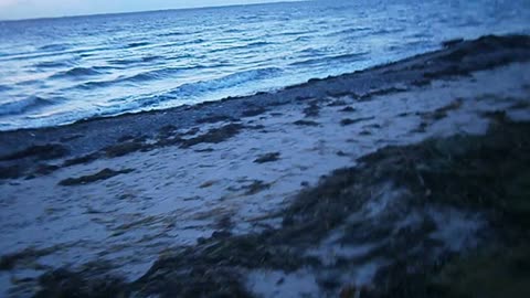 Strandpromenaden och Pålsjö strand, Helsingborg 3 Nov. 2013